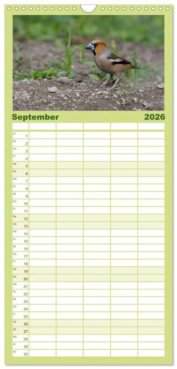 Bild: 9783516516975 | Familienplaner 2026 - Vögel mit 5 Spalten (Wandkalender, 21 x 45...