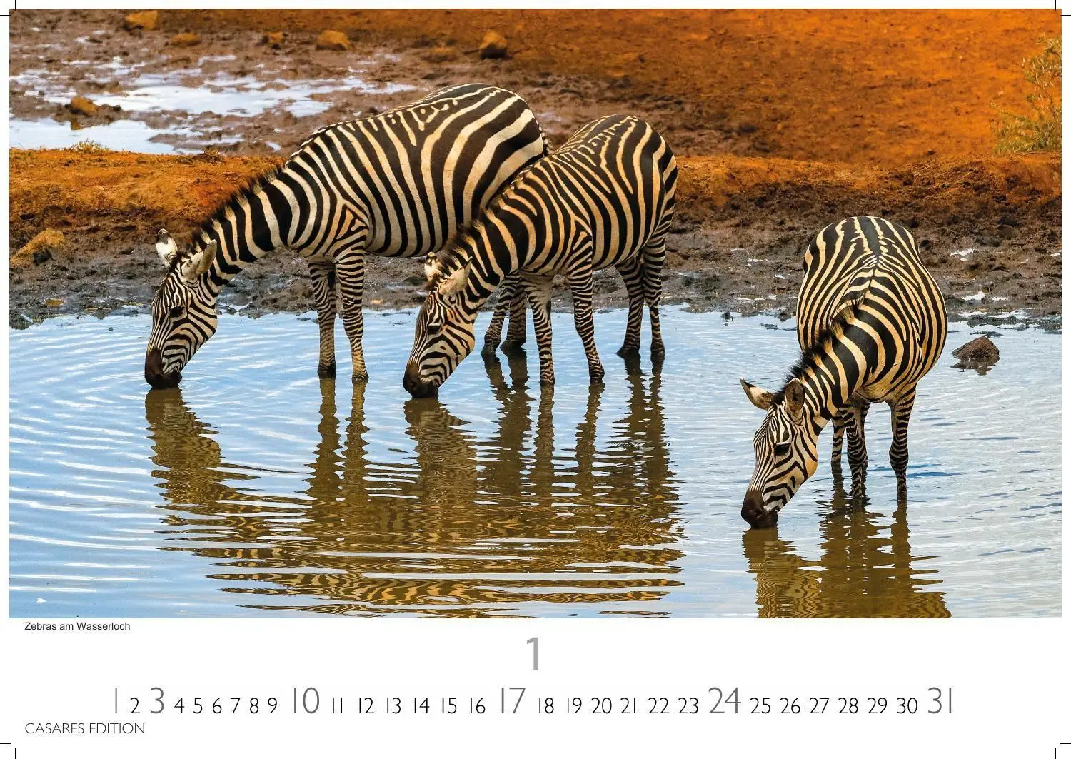 Bild: 9781835247075 | Kenia &amp; Serengheti Kalender 2027 - Wandkalender Fotokalender Afrika...