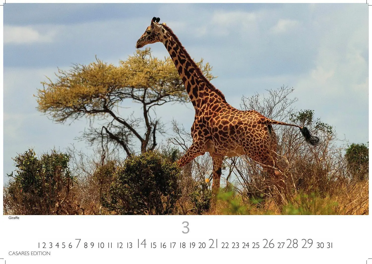 Bild: 9781835247075 | Kenia &amp; Serengheti Kalender 2027 - Wandkalender Fotokalender Afrika...