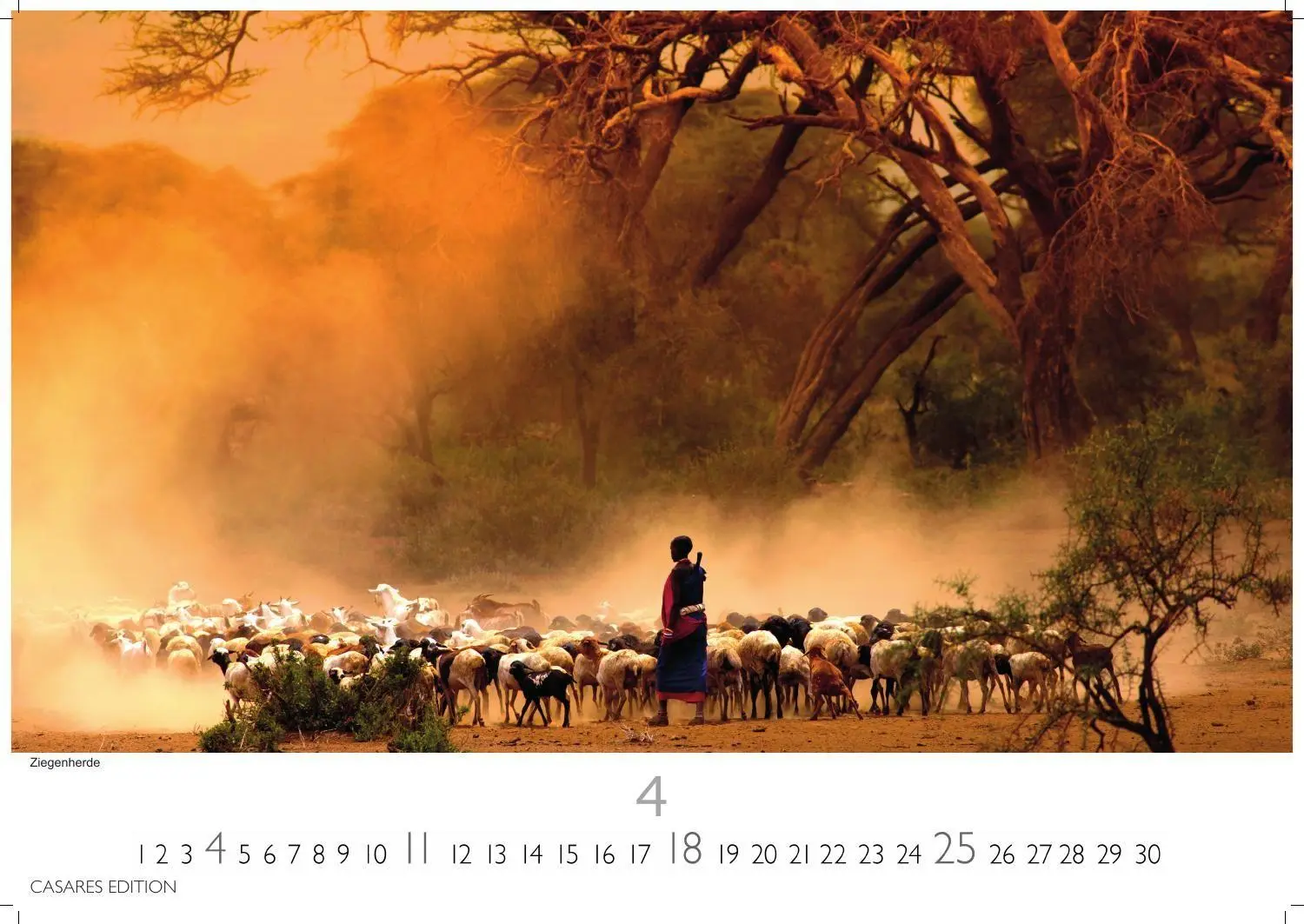 Bild: 9781835247075 | Kenia &amp; Serengheti Kalender 2027 - Wandkalender Fotokalender Afrika...