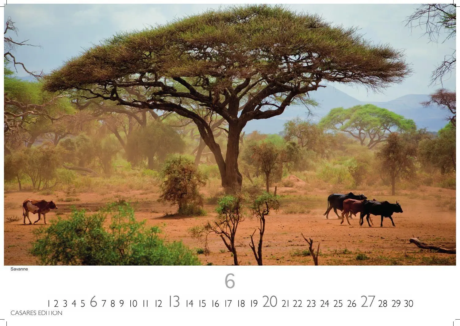 Bild: 9781835247075 | Kenia &amp; Serengheti Kalender 2027 - Wandkalender Fotokalender Afrika...
