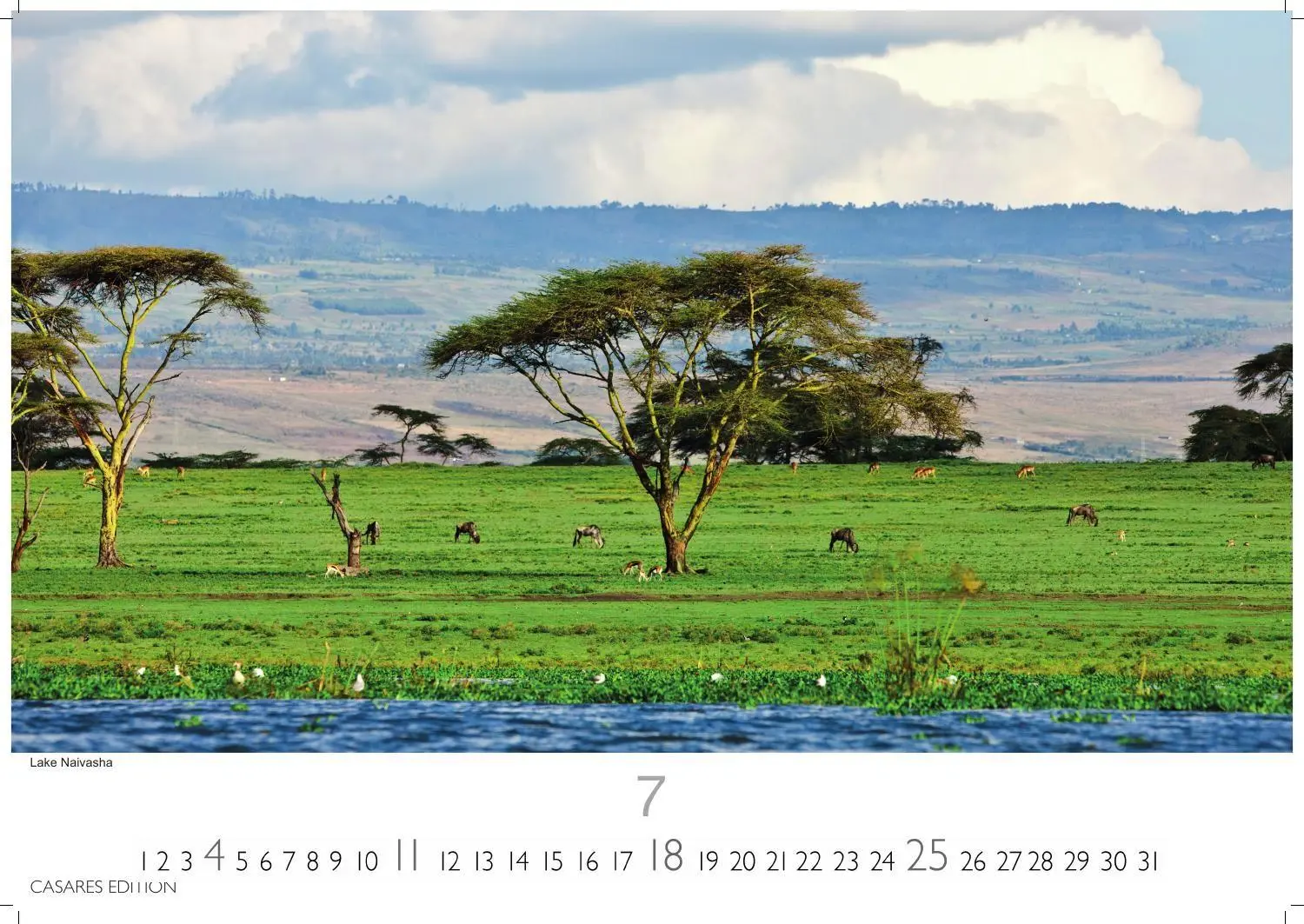 Bild: 9781835247075 | Kenia &amp; Serengheti Kalender 2027 - Wandkalender Fotokalender Afrika...
