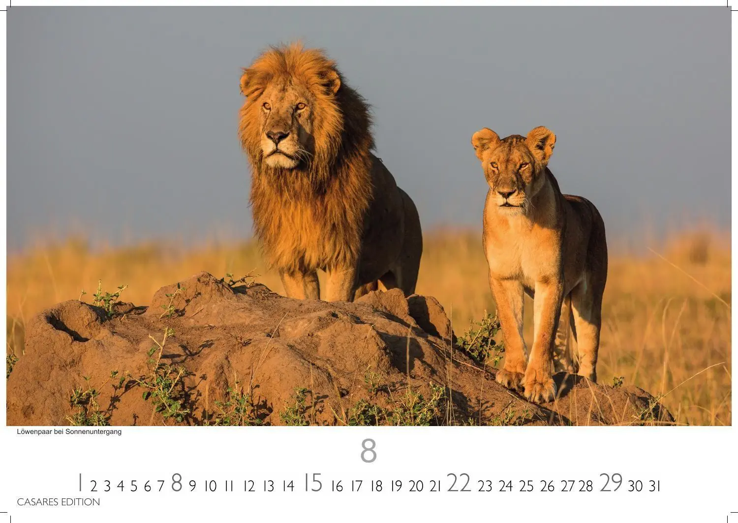 Bild: 9781835247075 | Kenia &amp; Serengheti Kalender 2027 - Wandkalender Fotokalender Afrika...
