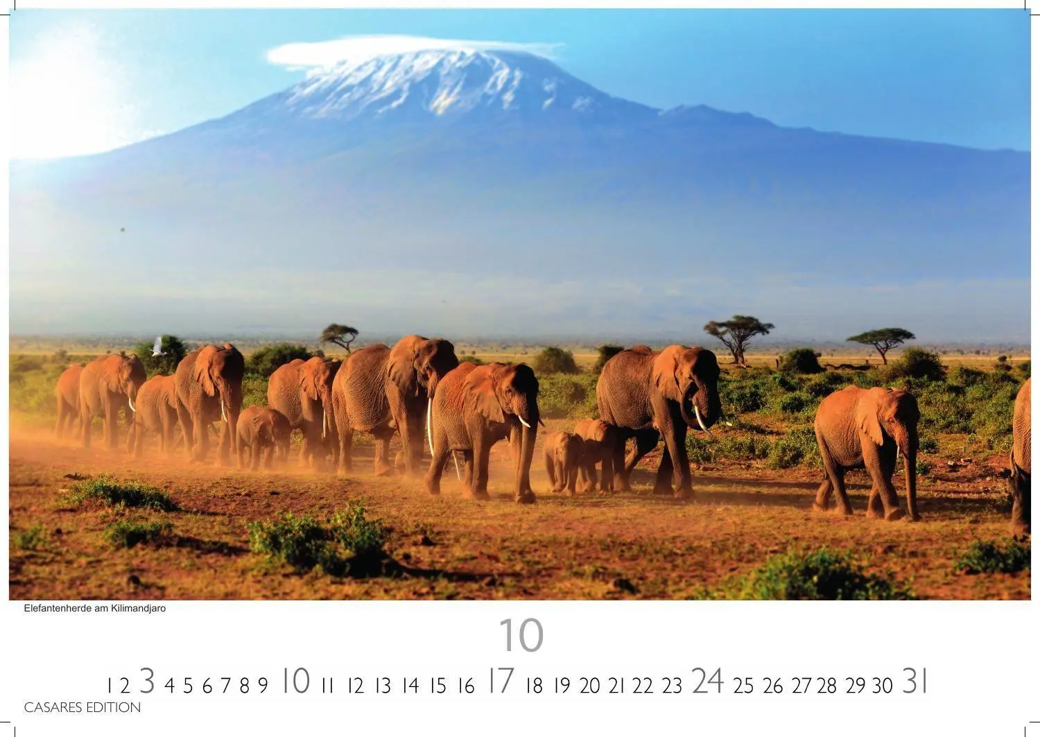 Bild: 9781835247075 | Kenia &amp; Serengheti Kalender 2027 - Wandkalender Fotokalender Afrika...