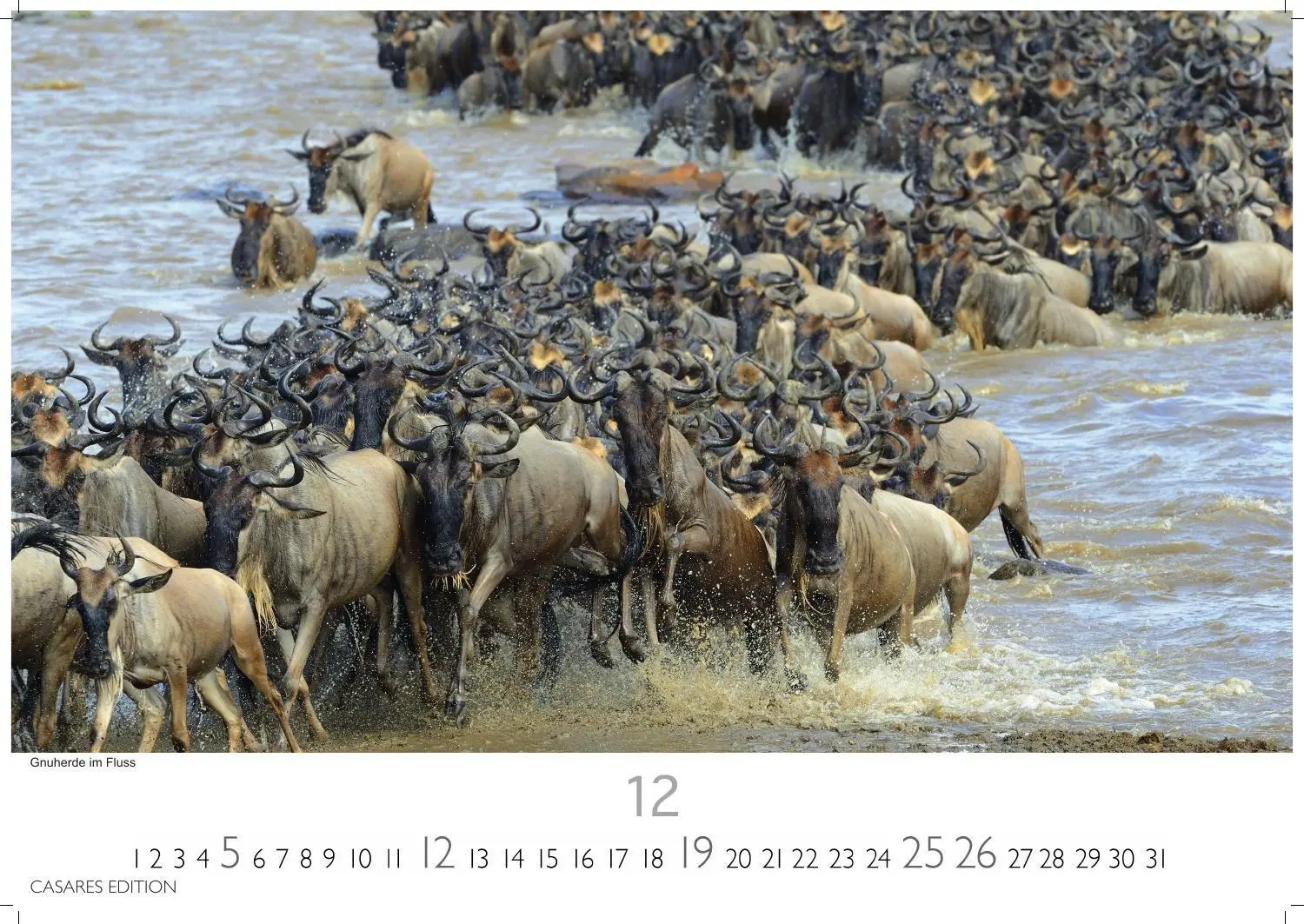 Bild: 9781835247075 | Kenia &amp; Serengheti Kalender 2027 - Wandkalender Fotokalender Afrika...