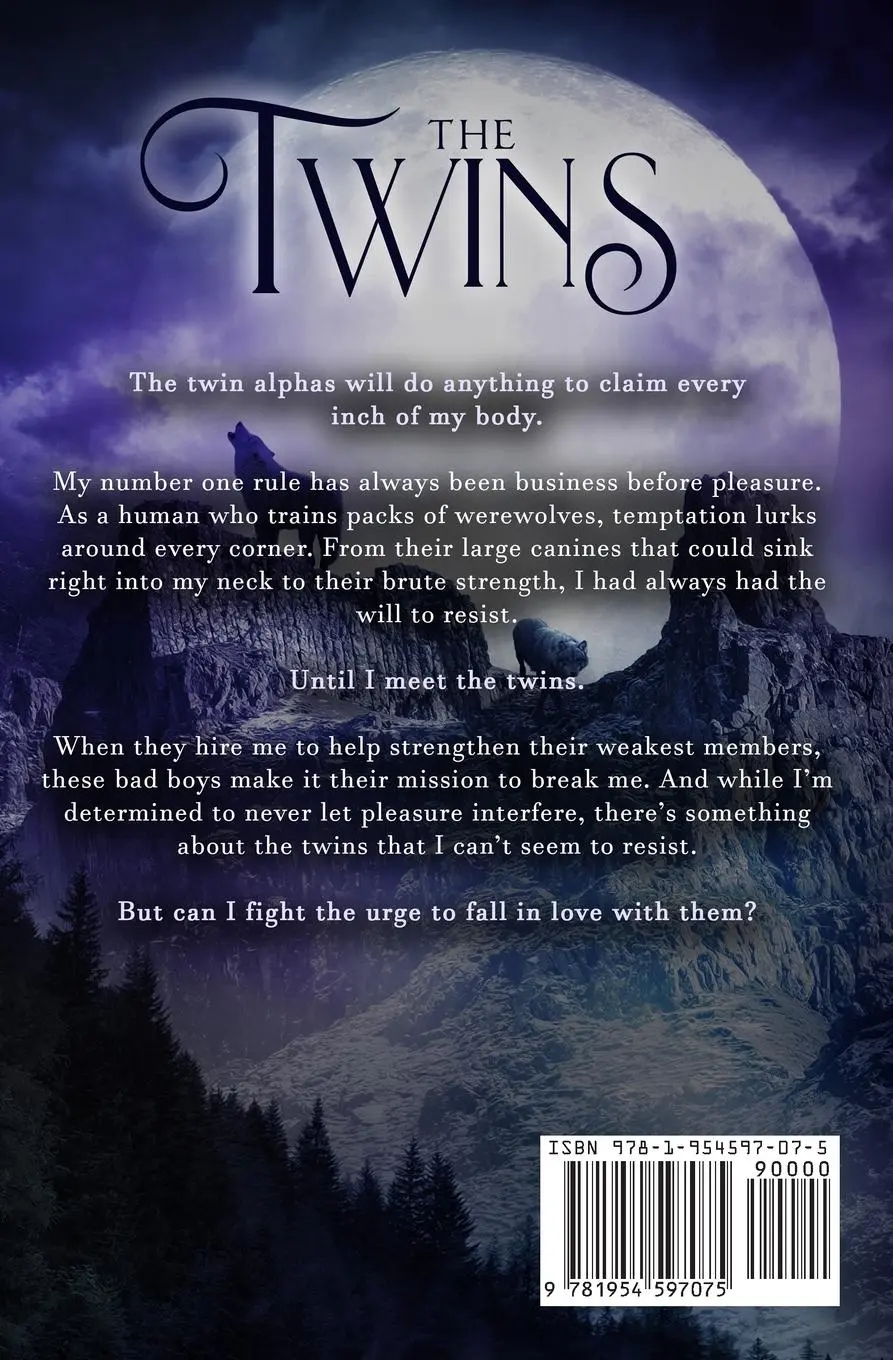 Rückseite: 9781954597075 | The Twins | Emilia Rose | Taschenbuch | Englisch | 2022 | Emilia Rose