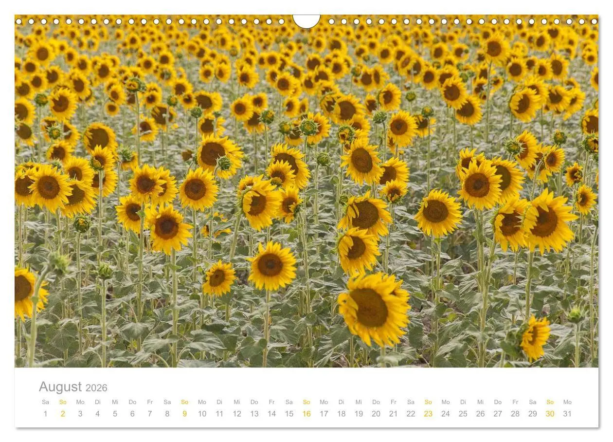 Bild: 9783516187175 | Provence: Malerisches Südfrankreich (Wandkalender 2026 DIN A3...