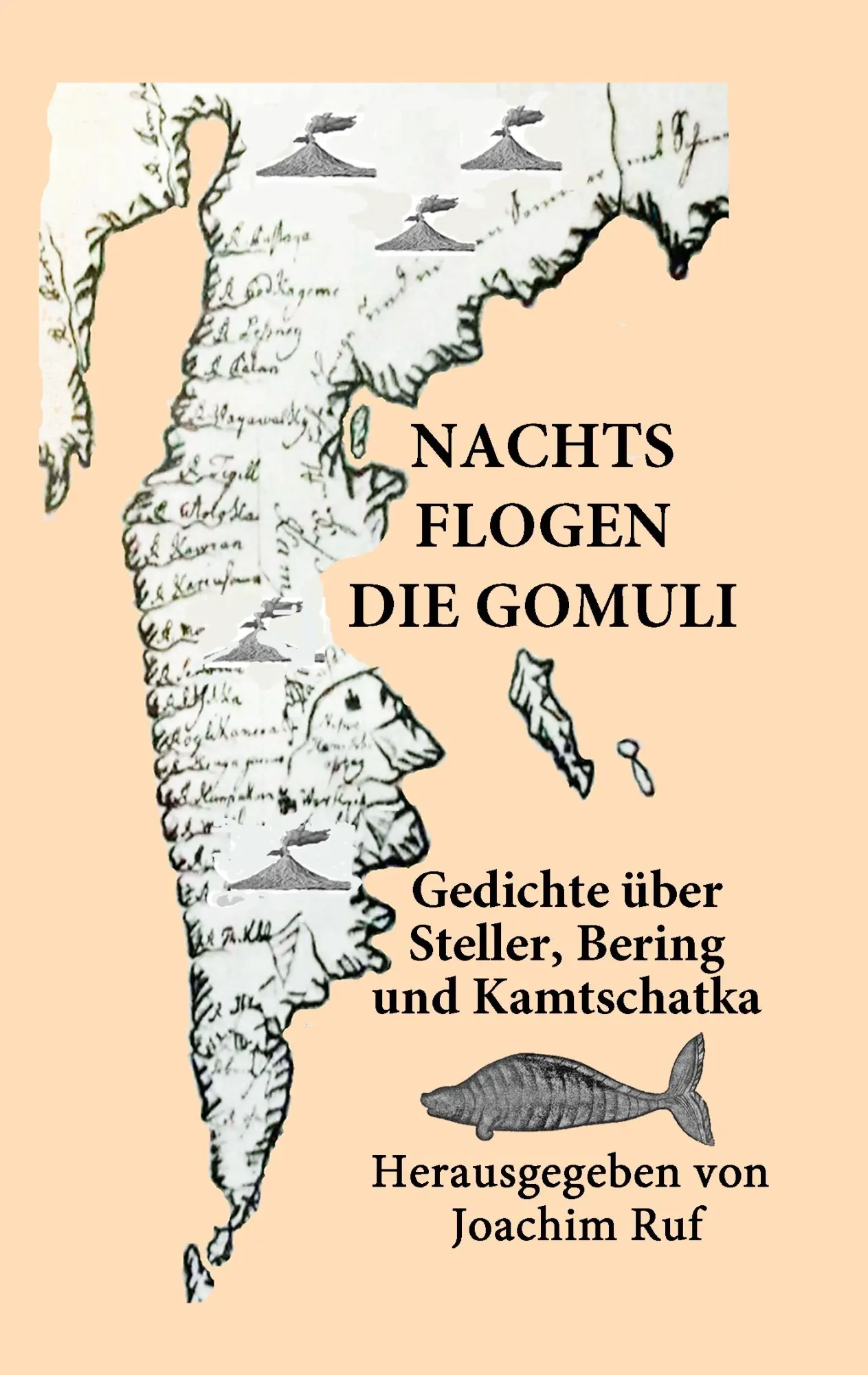 Cover: 9783735737175 | Nachts flogen die Gomuli | Joachim Ruf | Taschenbuch | 184 S. | 2019