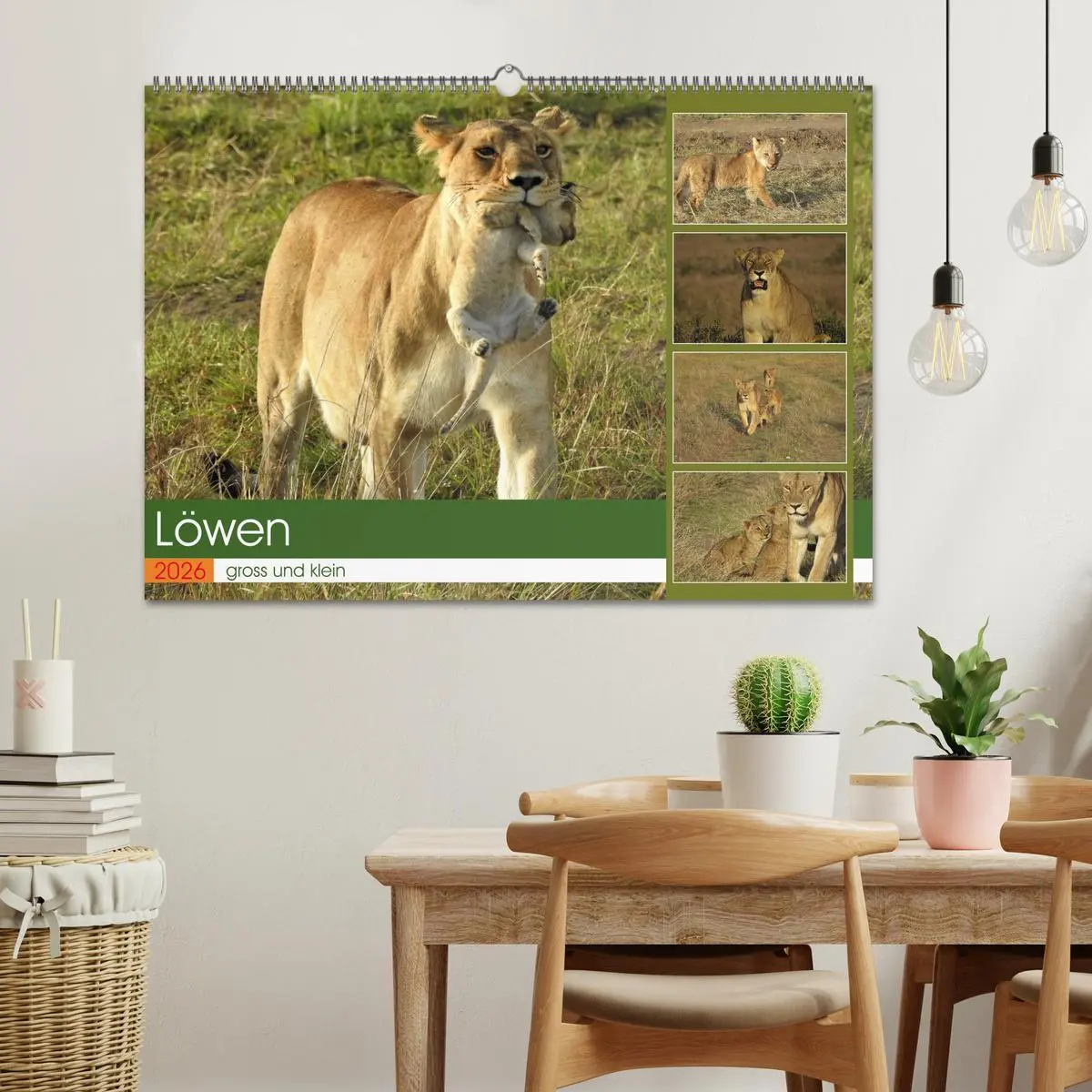 Bild: 9783457537275 | Löwen - gross und klein (Wandkalender 2026 DIN A2 quer), CALVENDO...
