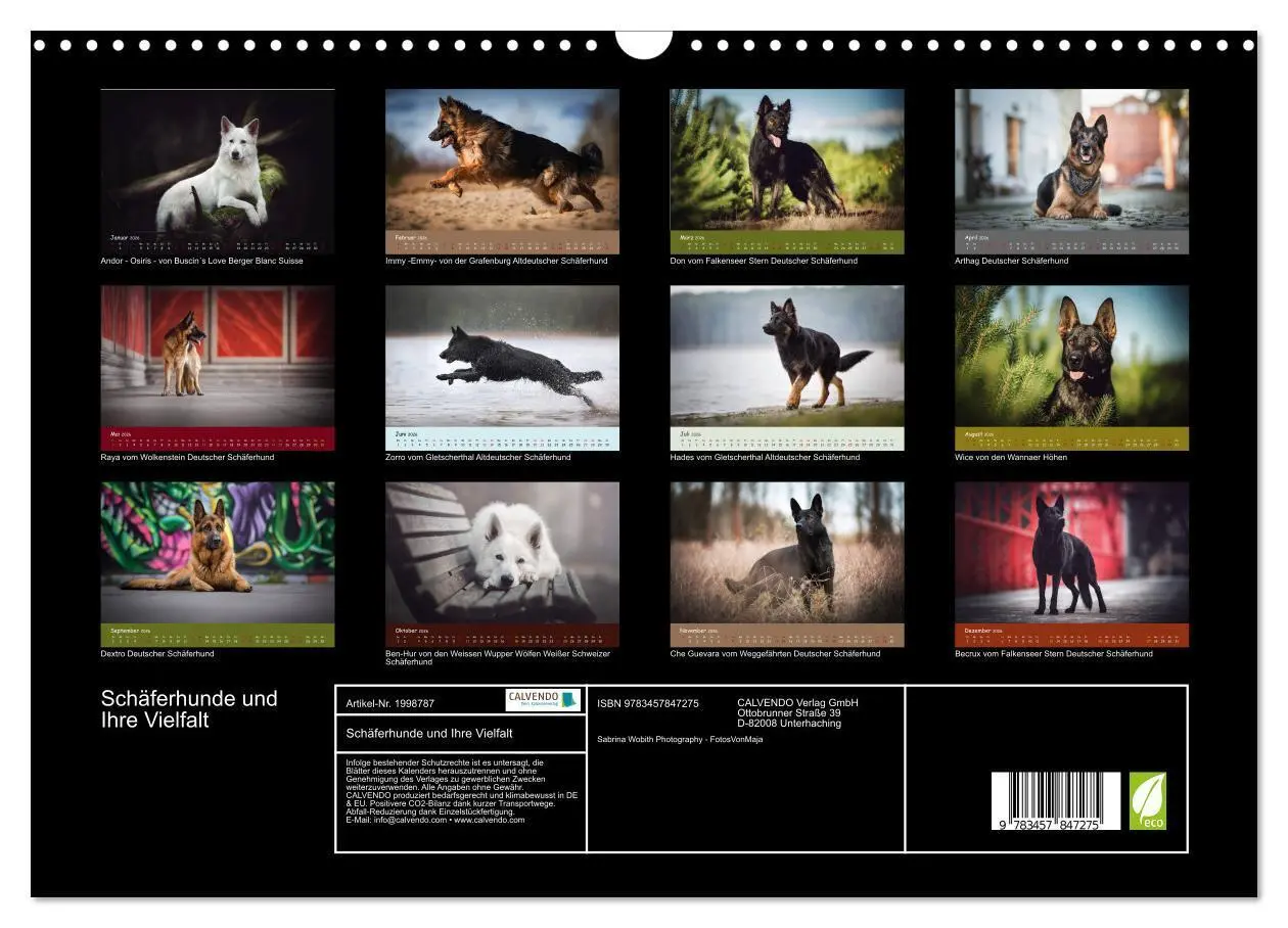 Bild: 9783457847275 | Schäferhunde und Ihre Vielfalt (Wandkalender 2026 DIN A3 quer),...