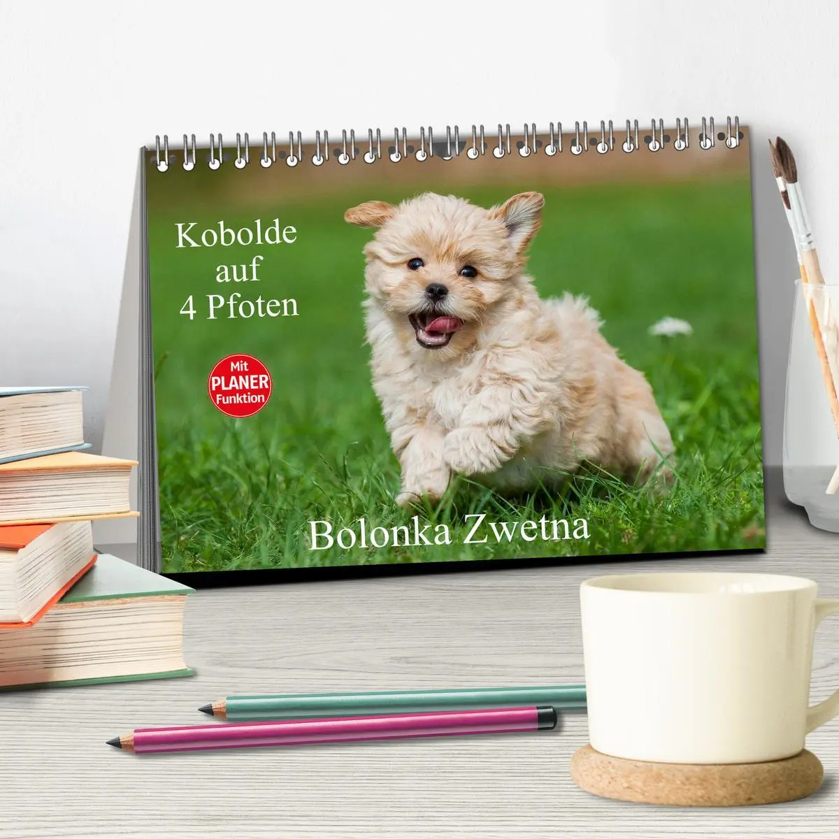Bild: 9783516007275 | Kobolde auf 4 Pfoten - Bolonka Zwetna (Tischkalender 2026 DIN A5...