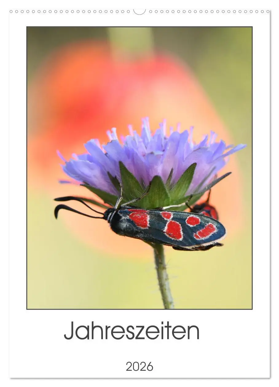 Cover: 9783516487275 | Jahreszeiten (Wandkalender 2026 DIN A2 hoch), CALVENDO Monatskalender