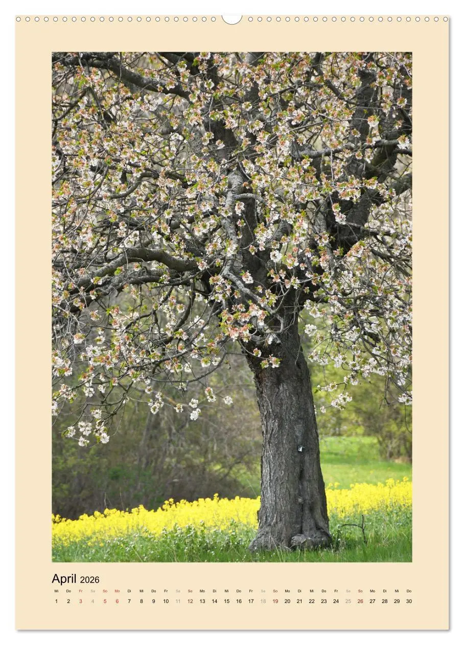 Bild: 9783516487275 | Jahreszeiten (Wandkalender 2026 DIN A2 hoch), CALVENDO Monatskalender