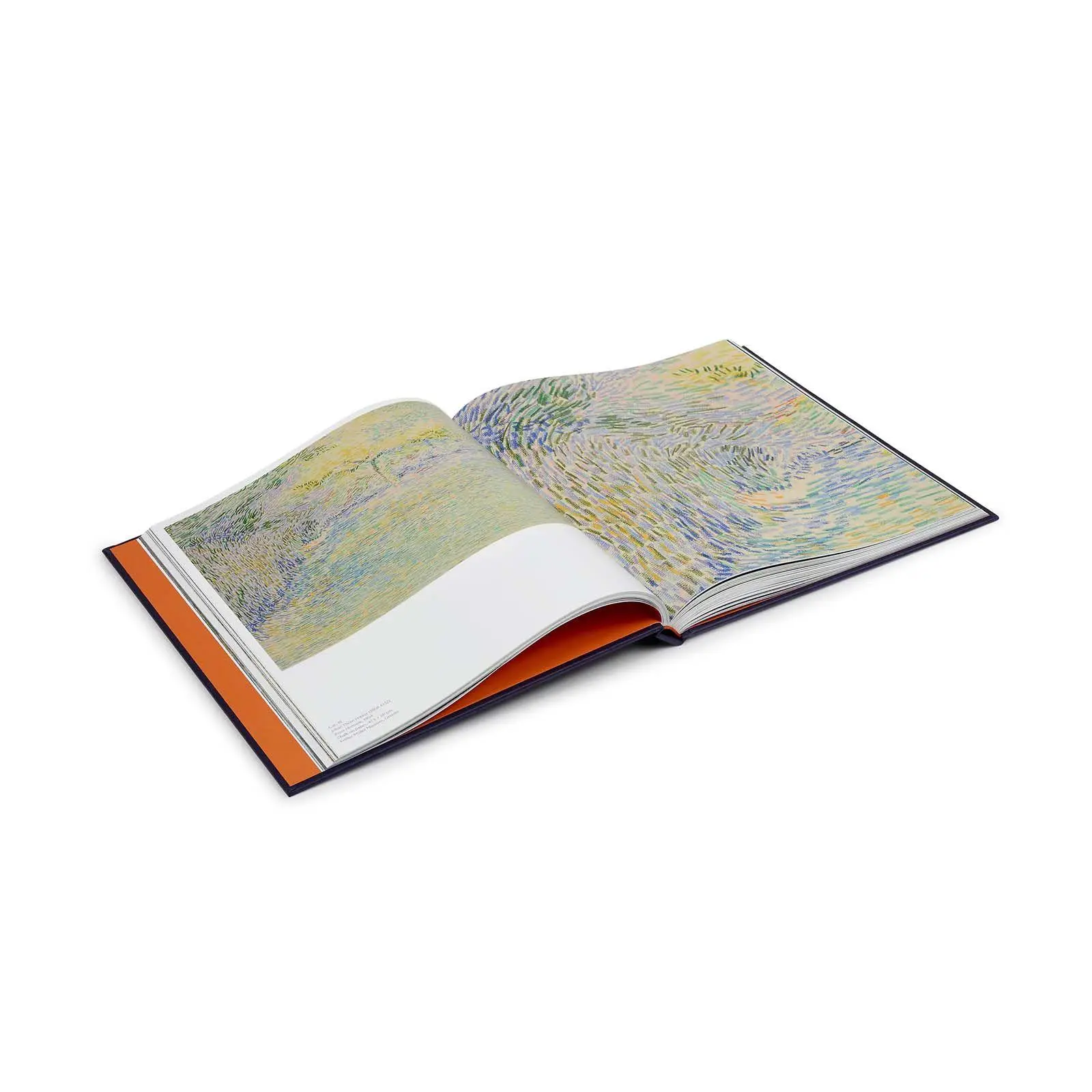 Bild: 9781857097375 | Radical Harmony | Helene Kröller-Müller's Neo-Impressionists | Buch