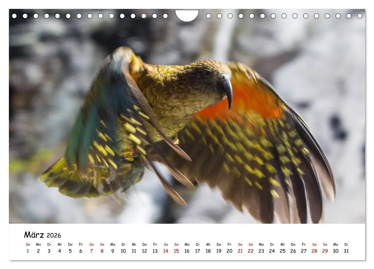 Bild: 9783457907375 | Neuseeland-Aotearoa, Land der weißen Wolke (Wandkalender 2026 DIN...
