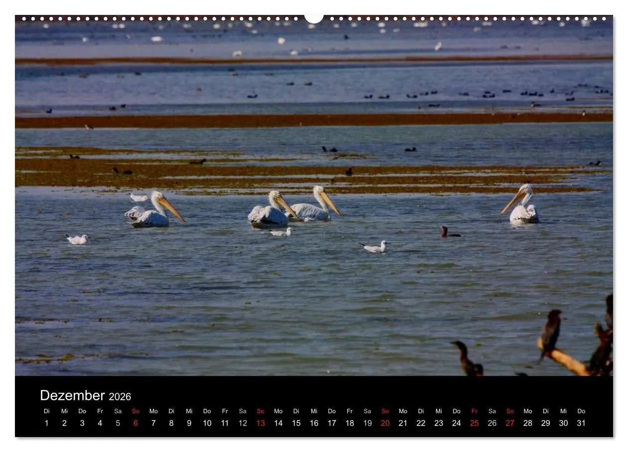 Bild: 9783516167375 | Donaudelta (hochwertiger Premium Wandkalender 2026 DIN A2 quer),...
