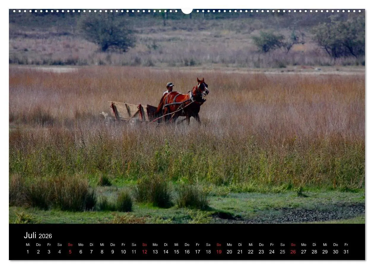 Bild: 9783516167375 | Donaudelta (hochwertiger Premium Wandkalender 2026 DIN A2 quer),...