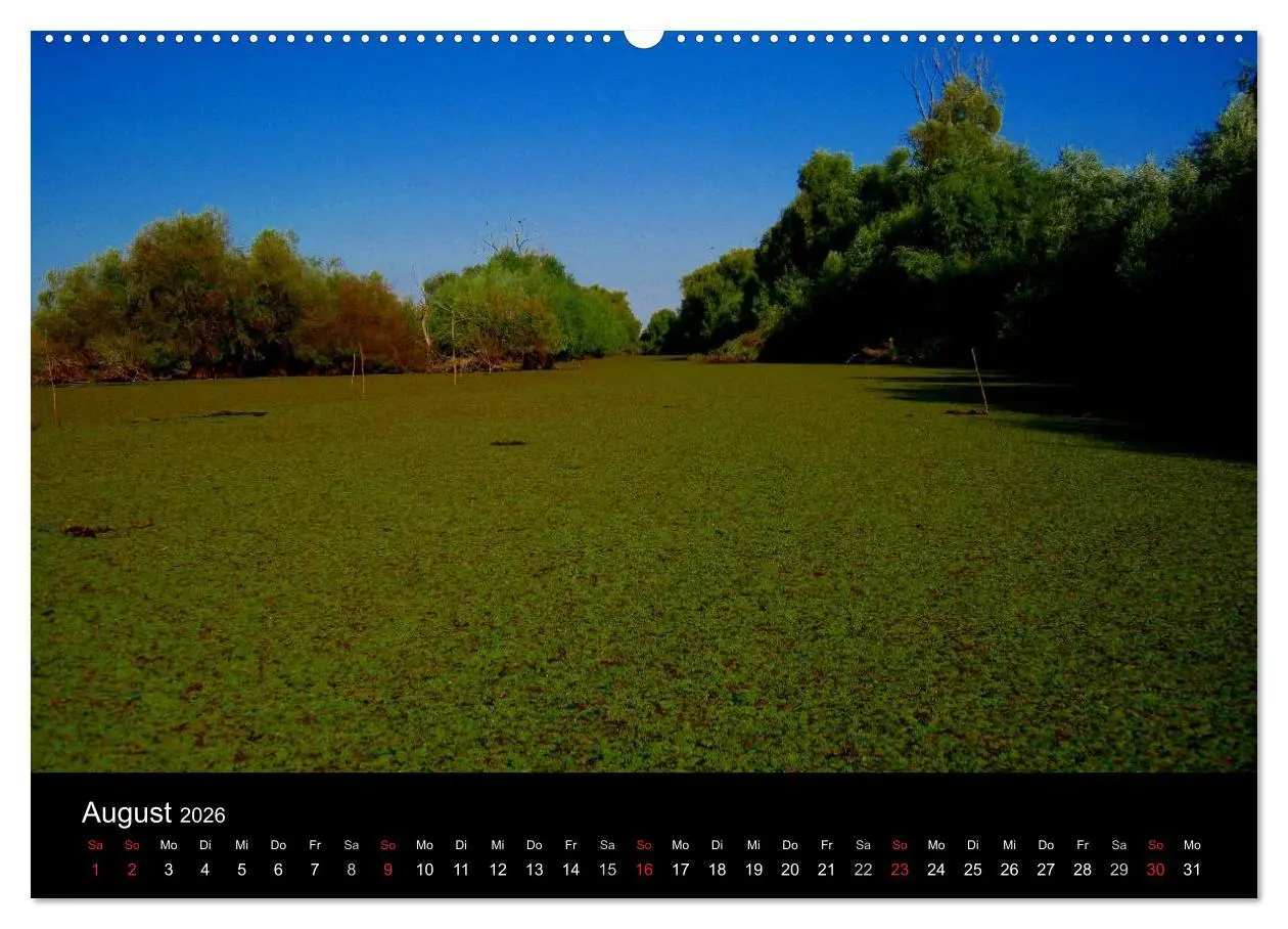 Bild: 9783516167375 | Donaudelta (hochwertiger Premium Wandkalender 2026 DIN A2 quer),...