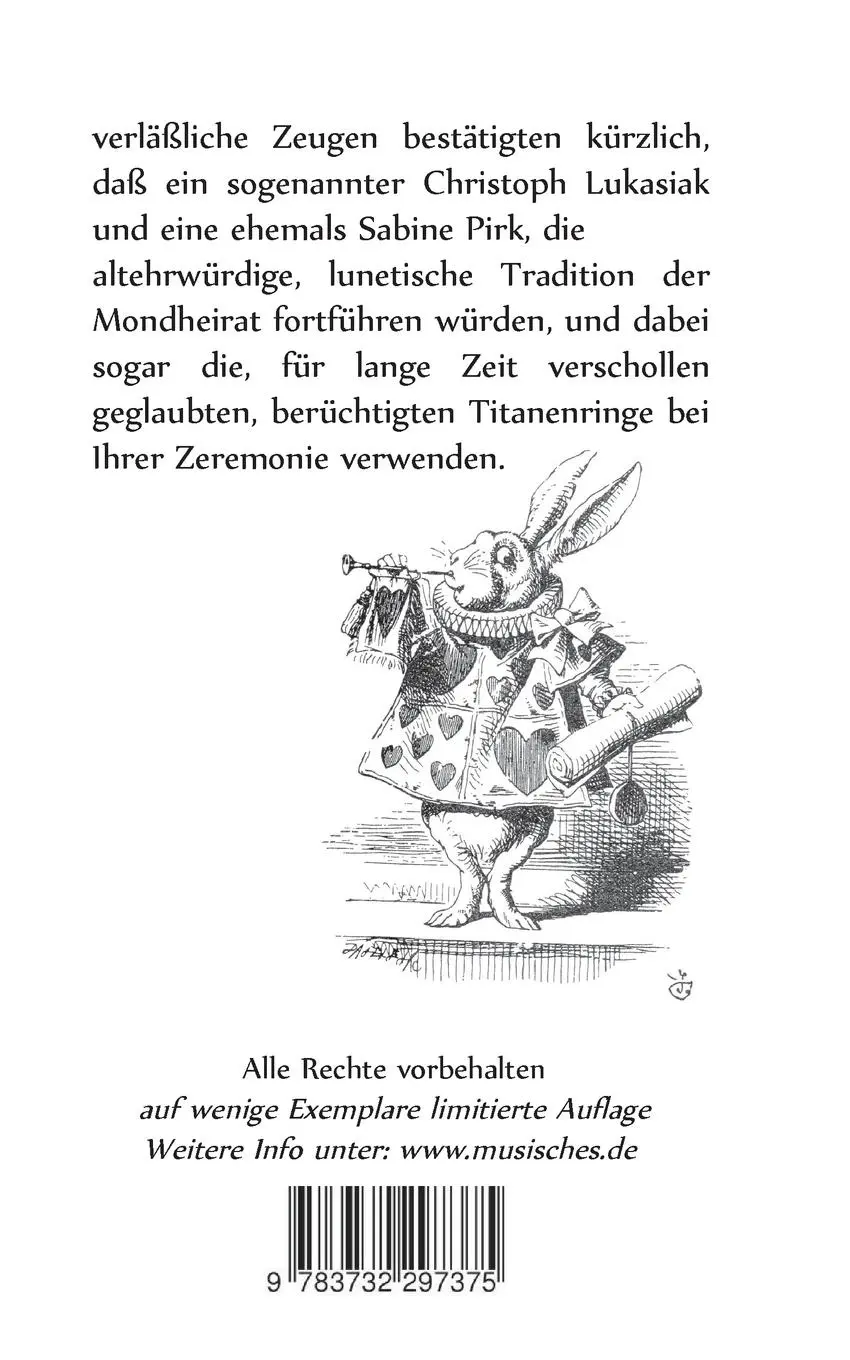 Rückseite: 9783732297375 | Zabinae und der Ring der Titanen | Vinzent S. Mus | Taschenbuch | 2016