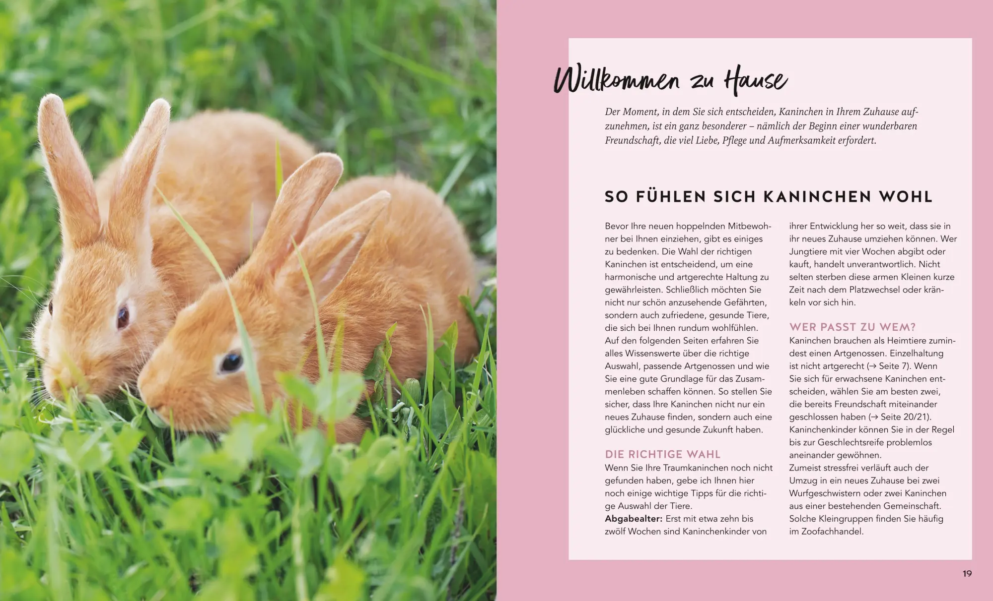 Bild: 9783833897375 | Kaninchen im Außengehege | So fühlen sie sich rundum wohl | Wegler