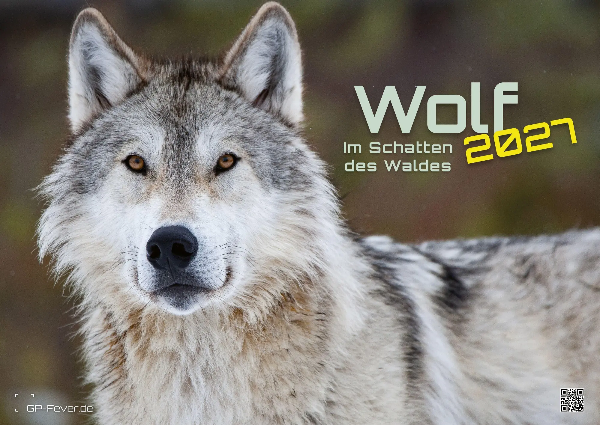 Cover: 9783986737375 | Wolf - Im Schatten des Waldes - 2027 - Kalender DIN A2 | GP-Fever. de