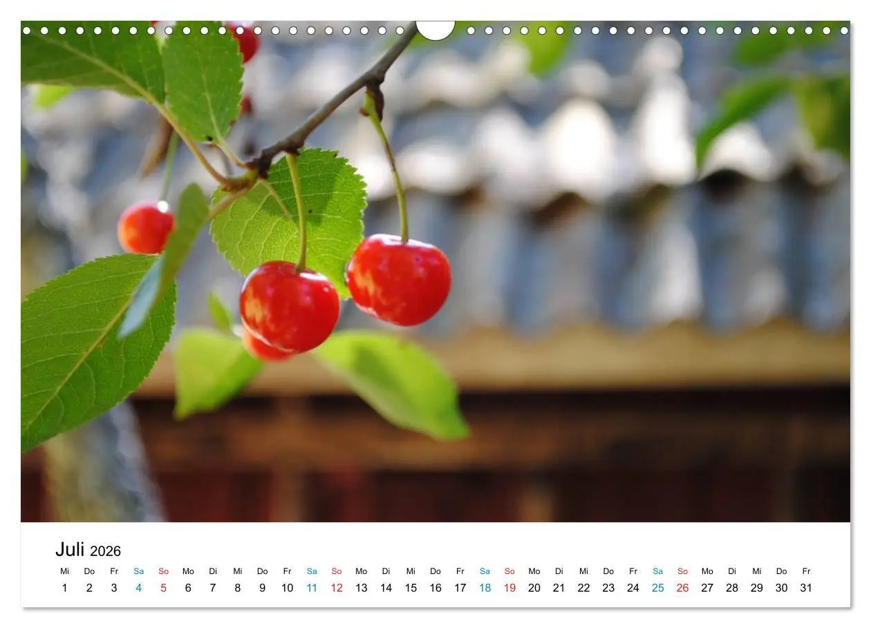 Bild: 9783516227475 | Schweden (Wandkalender 2026 DIN A3 quer), CALVENDO Monatskalender