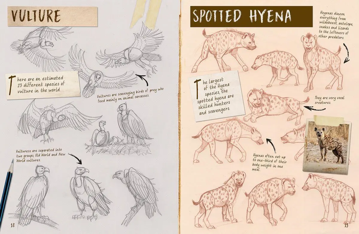 Bild: 9781913337575 | Draw 1,001 Animals | Mark Bergin | Taschenbuch | Englisch | 2021