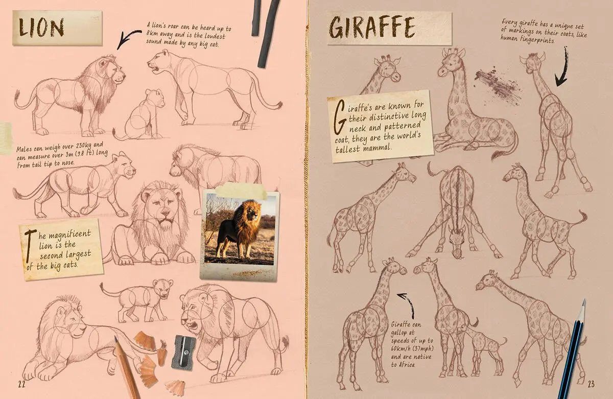 Bild: 9781913337575 | Draw 1,001 Animals | Mark Bergin | Taschenbuch | Englisch | 2021