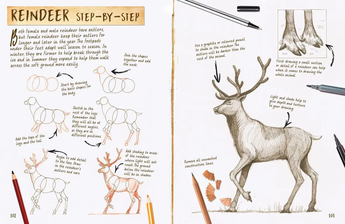 Bild: 9781913337575 | Draw 1,001 Animals | Mark Bergin | Taschenbuch | Englisch | 2021