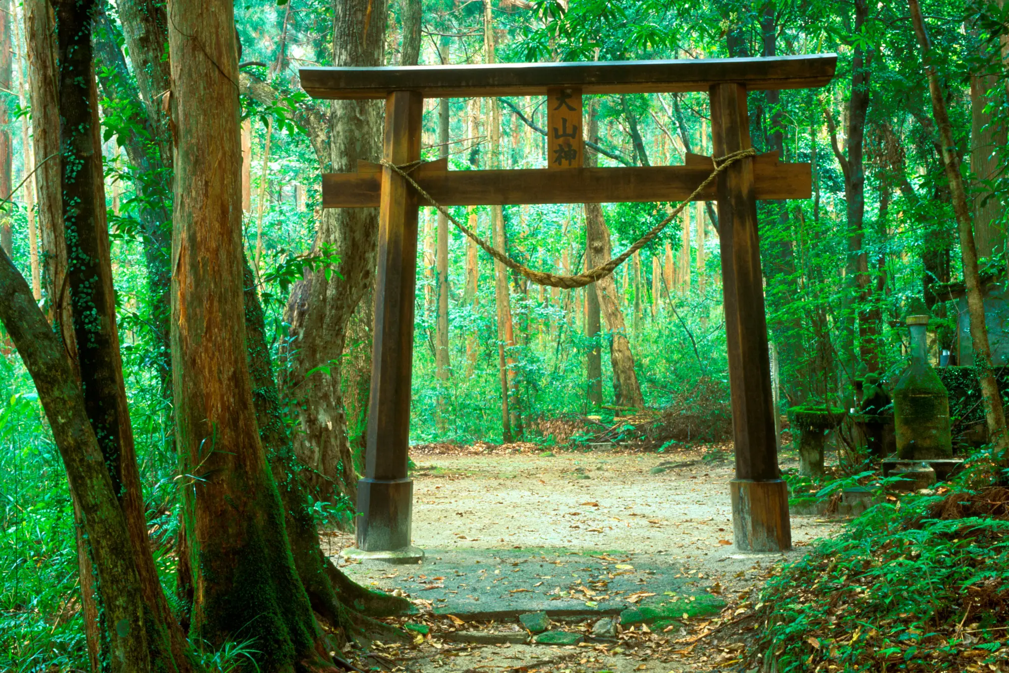 Bild: 9783734327575 | Secret Places Japan | Traumhafte Orte abseits des Trubels | Buch