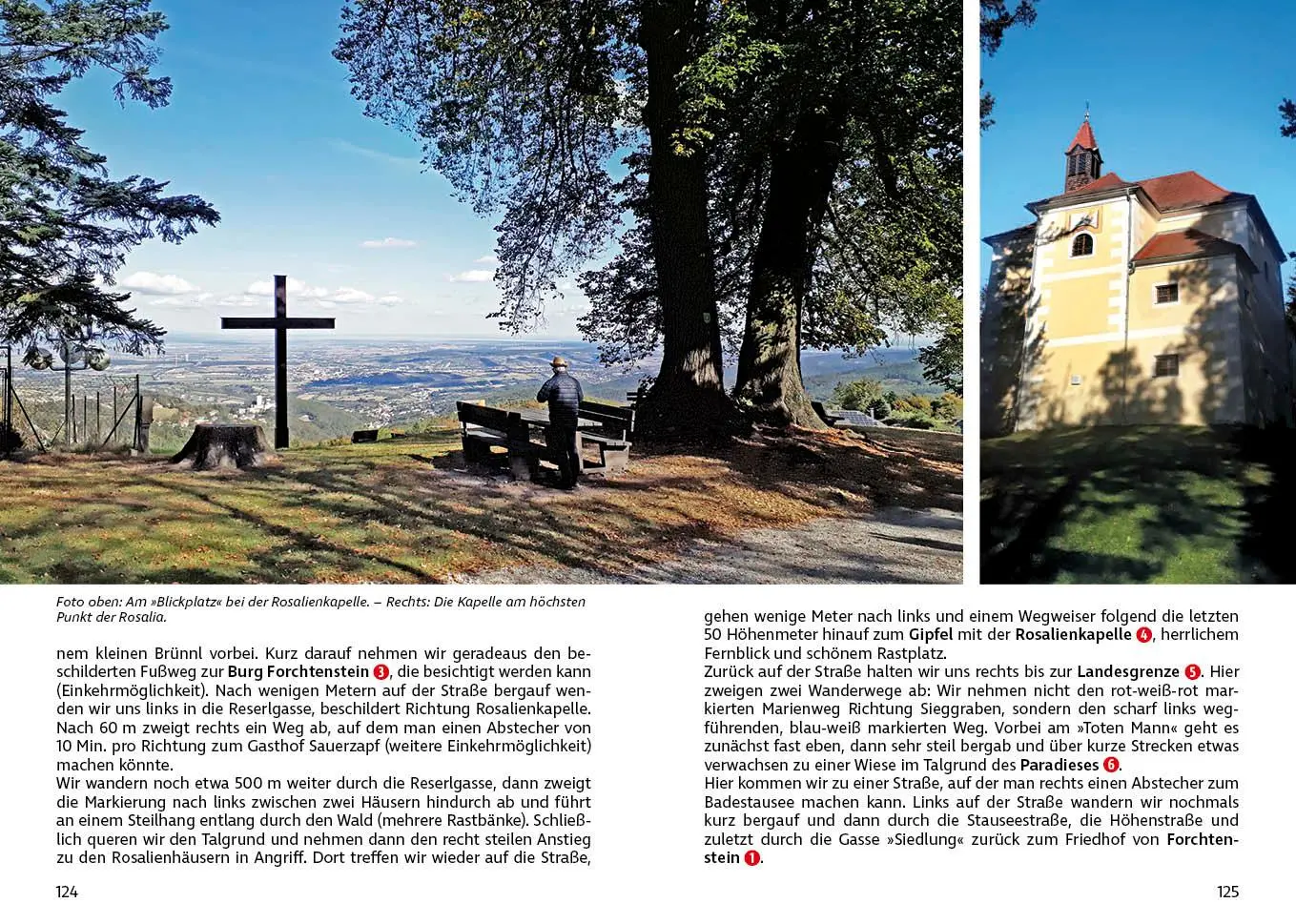 Bild: 9783763347575 | Leithagebirge - Rosaliengebirge | Johanna Stöckl | Taschenbuch | 2025
