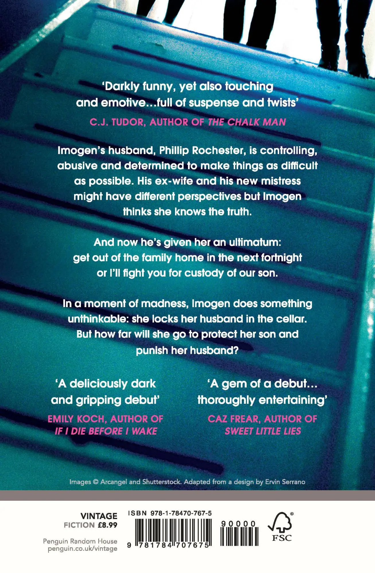 Rückseite: 9781784707675 | Sticks and Stones | Jo Jakeman | Taschenbuch | 368 S. | Englisch