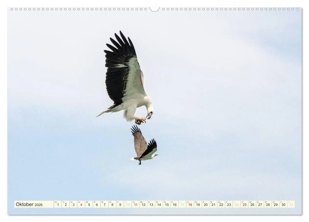 Bild: 9783516067675 | Unterwegs in Malaysia (Wandkalender 2026 DIN A2 quer), CALVENDO...
