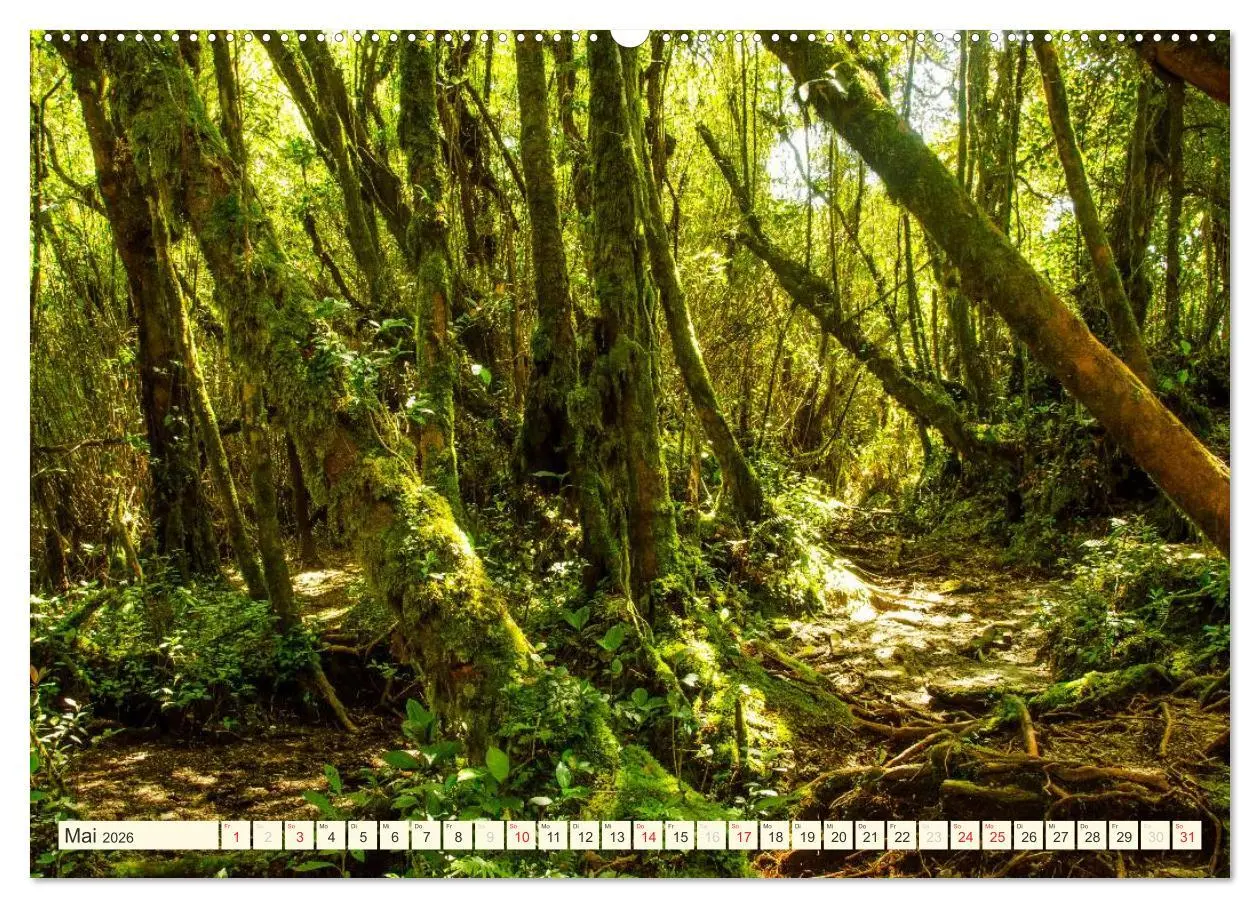 Bild: 9783516067675 | Unterwegs in Malaysia (Wandkalender 2026 DIN A2 quer), CALVENDO...