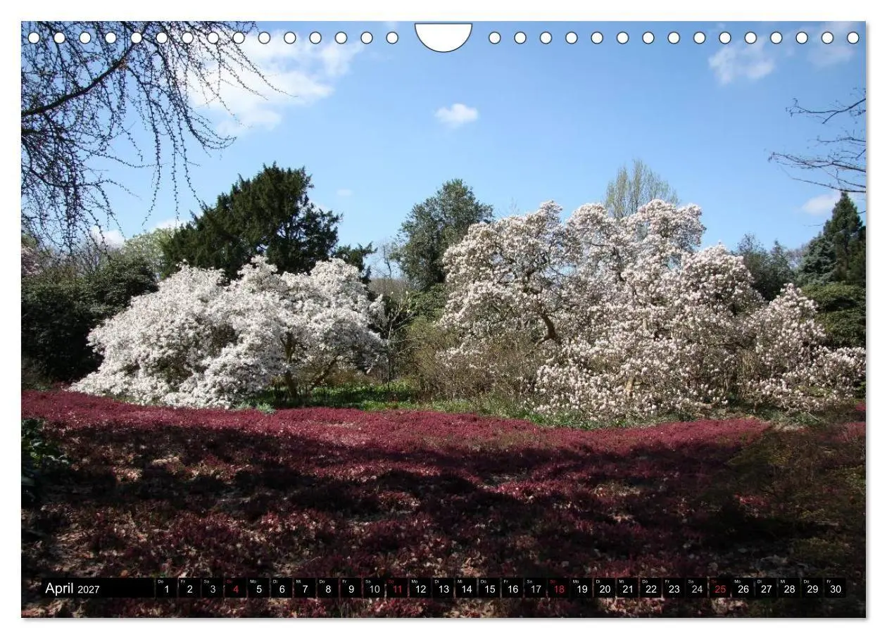 Bild: 9783594047675 | Hannovers prachtvolle Gärten (Wandkalender 2027 DIN A4 quer),...