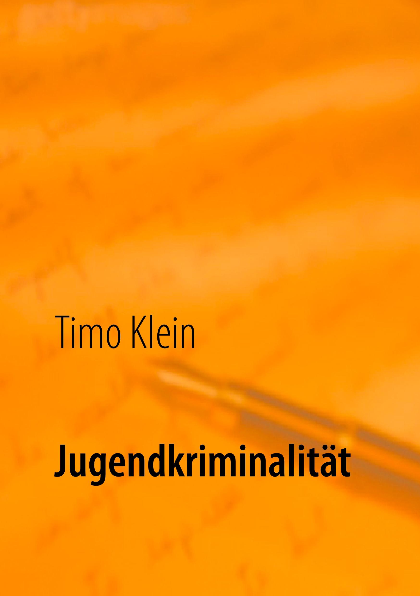 Cover: 9783749407675 | Jugendkriminalität | Timo Klein | Taschenbuch | Paperback | 156 S.