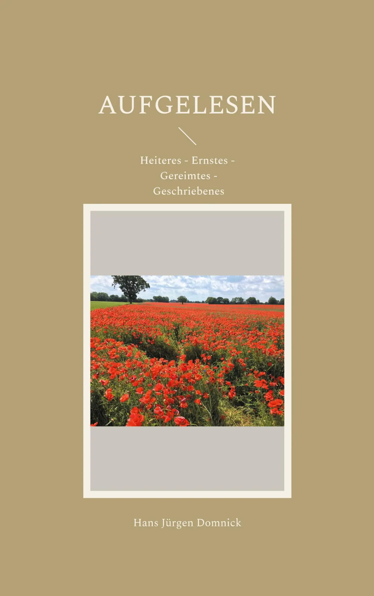 Cover: 9783759787675 | Aufgelesen | Heiteres - Ernstes - Gereimtes - Geschriebenes | Domnick
