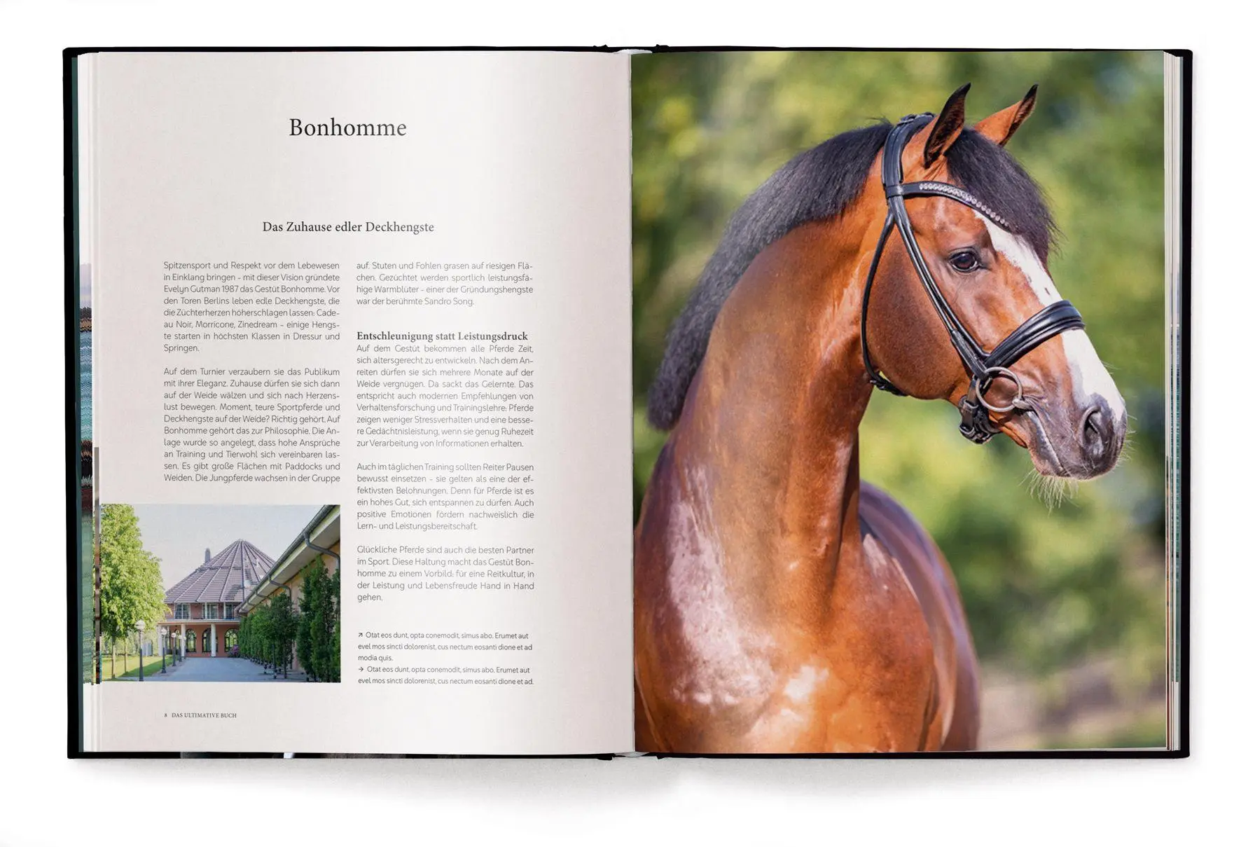 Bild: 9783961717675 | Reiten | Das ultimative Buch | Alena Brandt | Buch | 224 S. | Deutsch