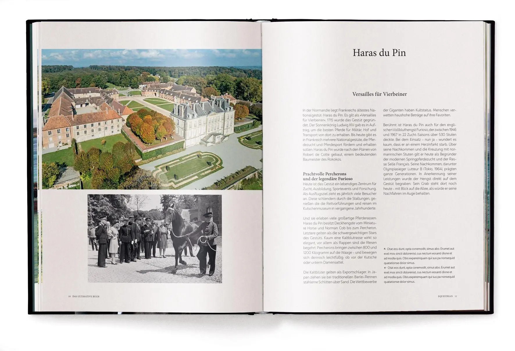 Bild: 9783961717675 | Reiten | Das ultimative Buch | Alena Brandt | Buch | 224 S. | Deutsch