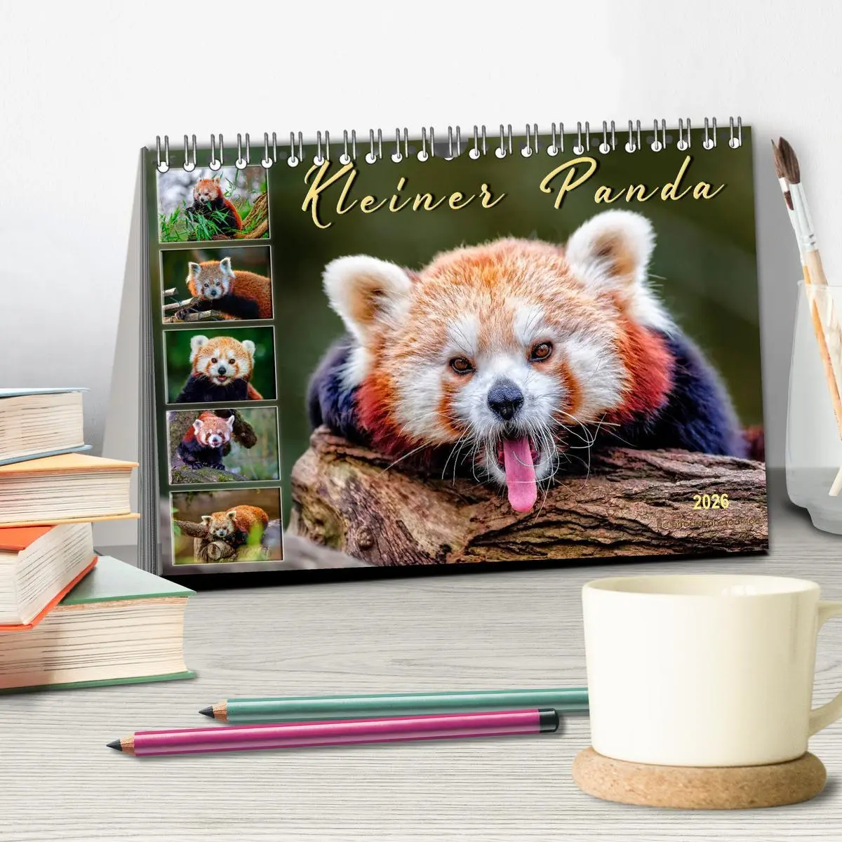 Bild: 9783457897775 | Kleiner Panda (Tischkalender 2026 DIN A5 quer), CALVENDO...