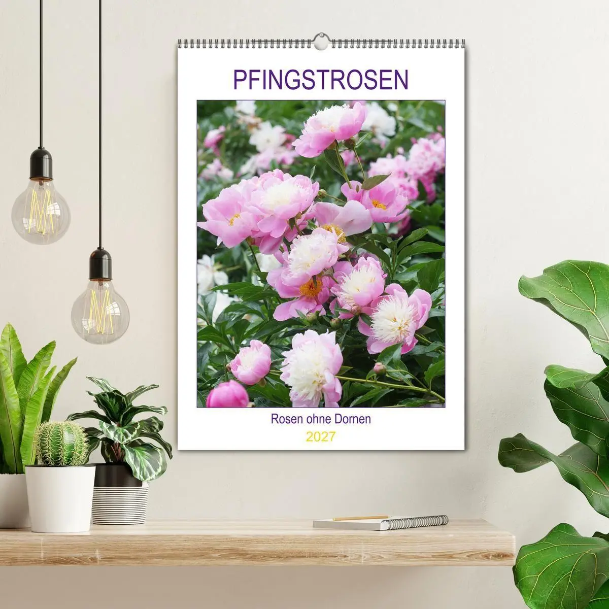 Bild: 9783569697775 | Pfingstrosen Rosen ohne Dornen (Wandkalender 2027 DIN A2 hoch),...