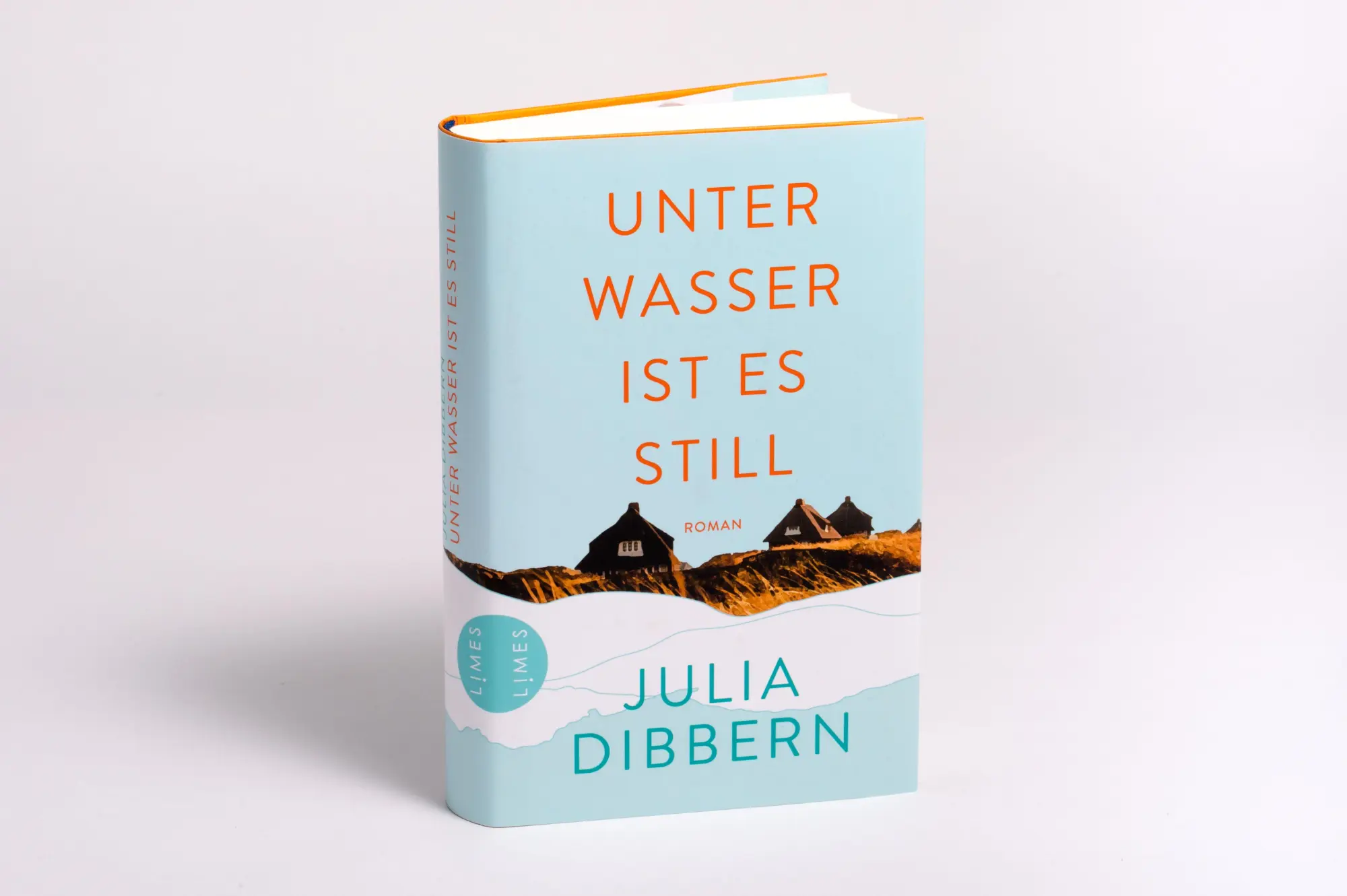 Bild: 9783809027775 | Unter Wasser ist es still | Roman | Julia Dibbern | Buch | 384 S.