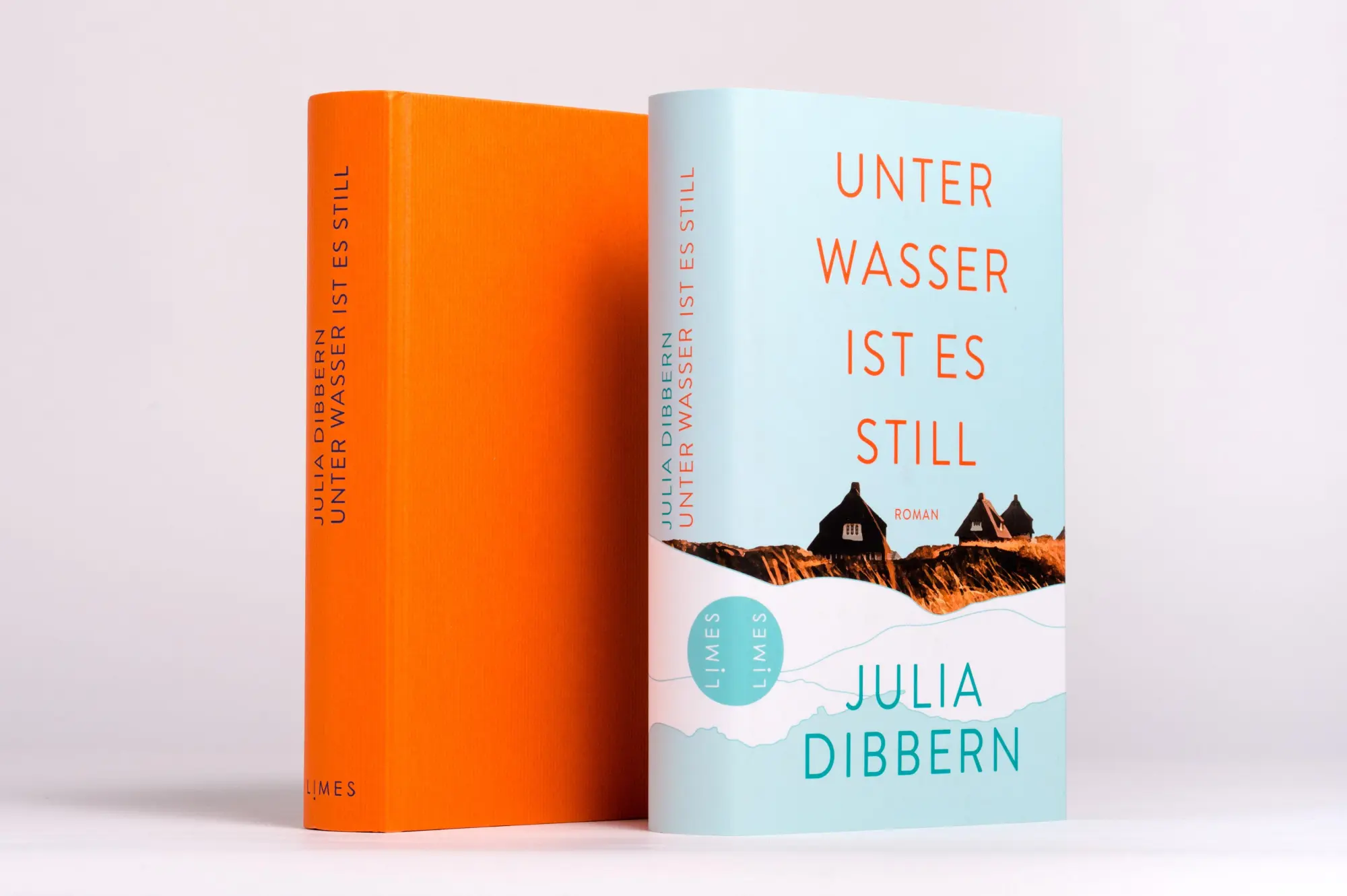 Bild: 9783809027775 | Unter Wasser ist es still | Roman | Julia Dibbern | Buch | 384 S.