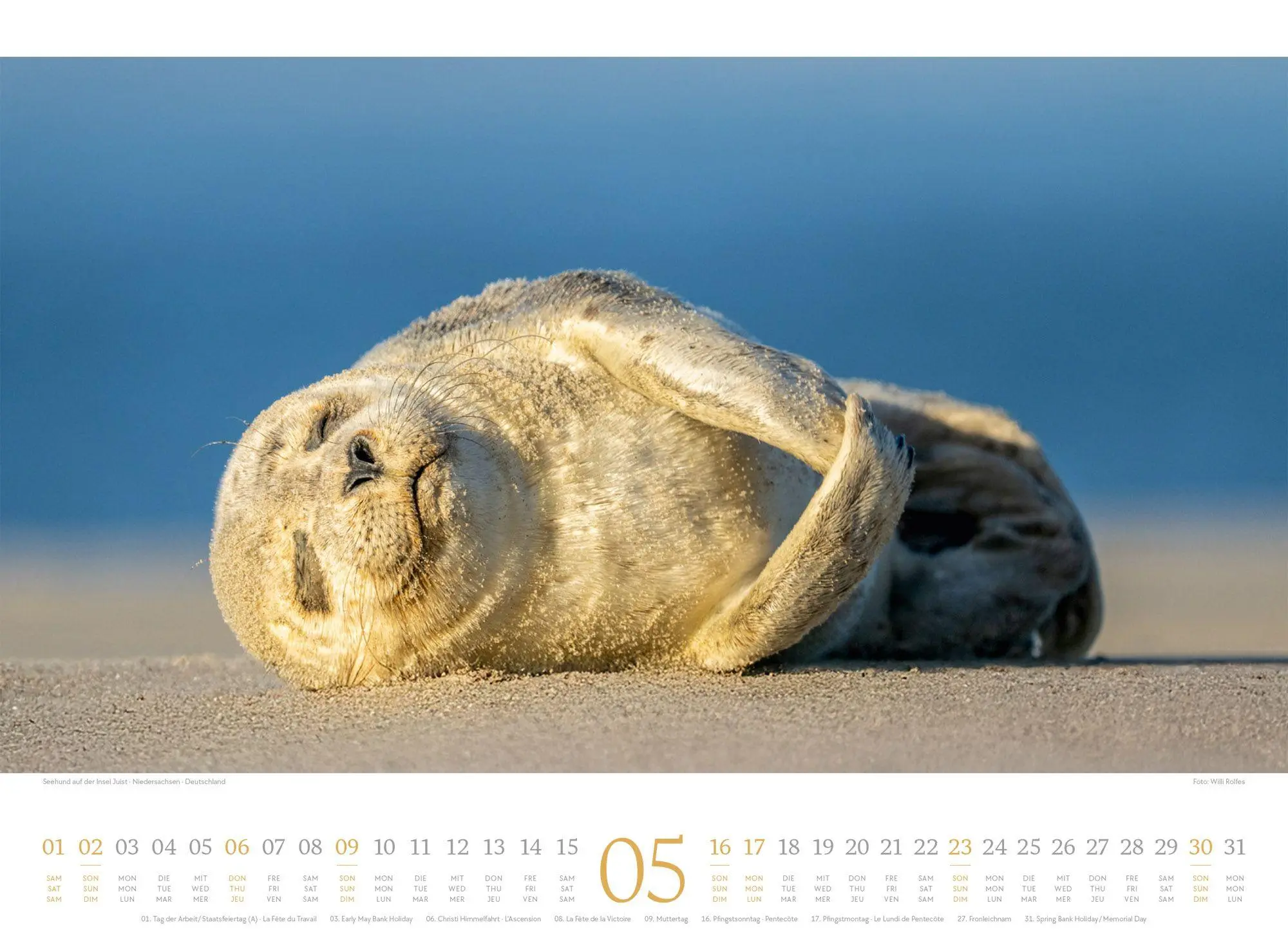 Bild: 9783838427775 | Tage am Meer Kalender 2027 | Ackermann Kunstverlag GmbH | Kalender