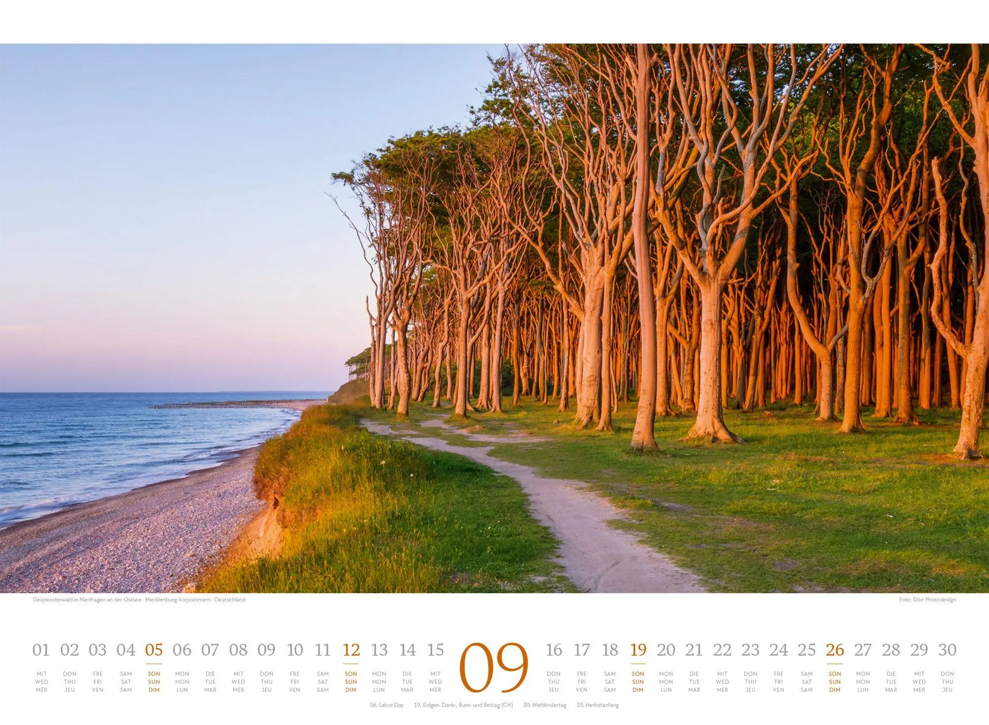 Bild: 9783838427775 | Tage am Meer Kalender 2027 | Ackermann Kunstverlag GmbH | Kalender