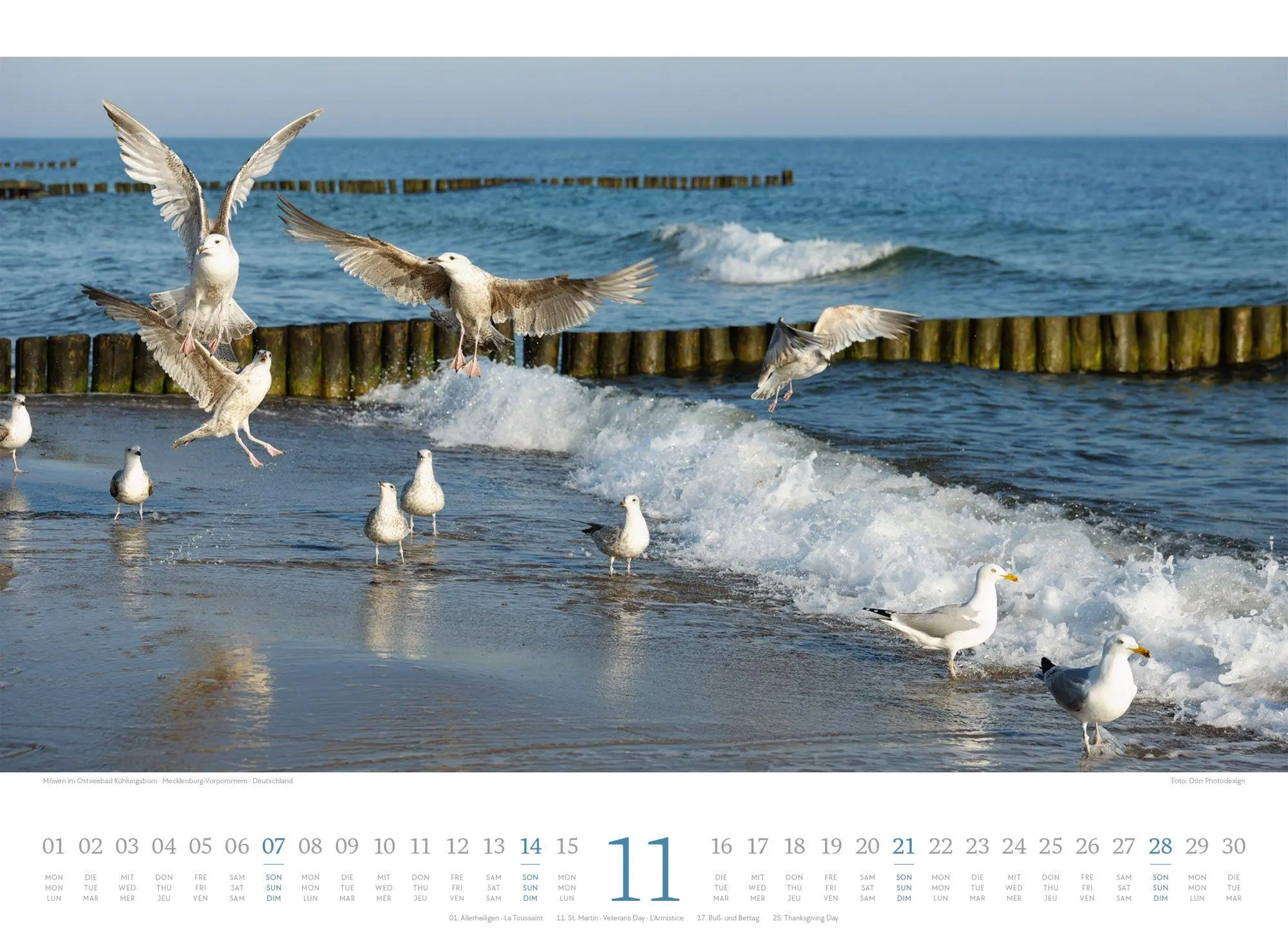 Bild: 9783838427775 | Tage am Meer Kalender 2027 | Ackermann Kunstverlag GmbH | Kalender