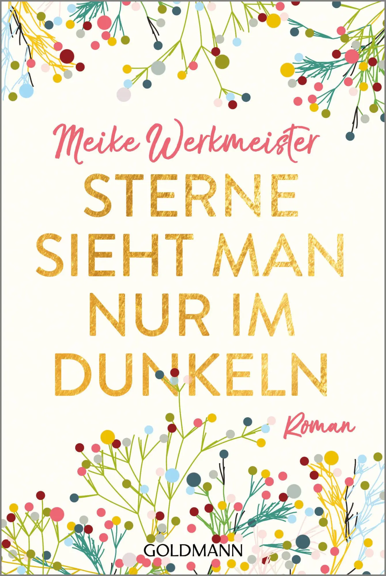 Bild: 9783442487875 | Sterne sieht man nur im Dunkeln | Roman | Meike Werkmeister | Buch