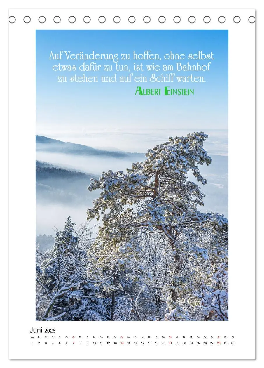 Bild: 9783516287875 | Interessante Zitate (Tischkalender 2026 DIN A5 hoch), CALVENDO...