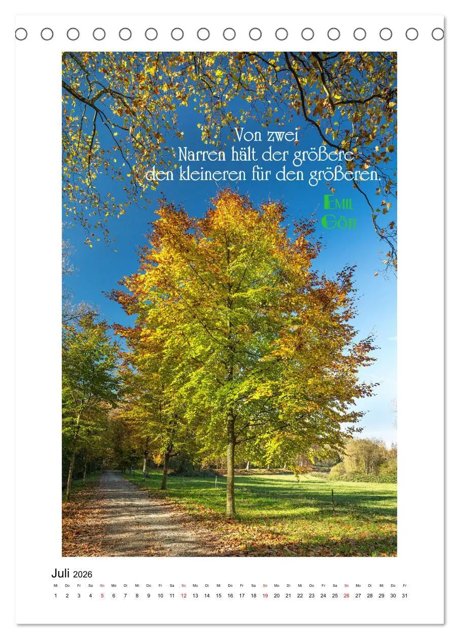 Bild: 9783516287875 | Interessante Zitate (Tischkalender 2026 DIN A5 hoch), CALVENDO...