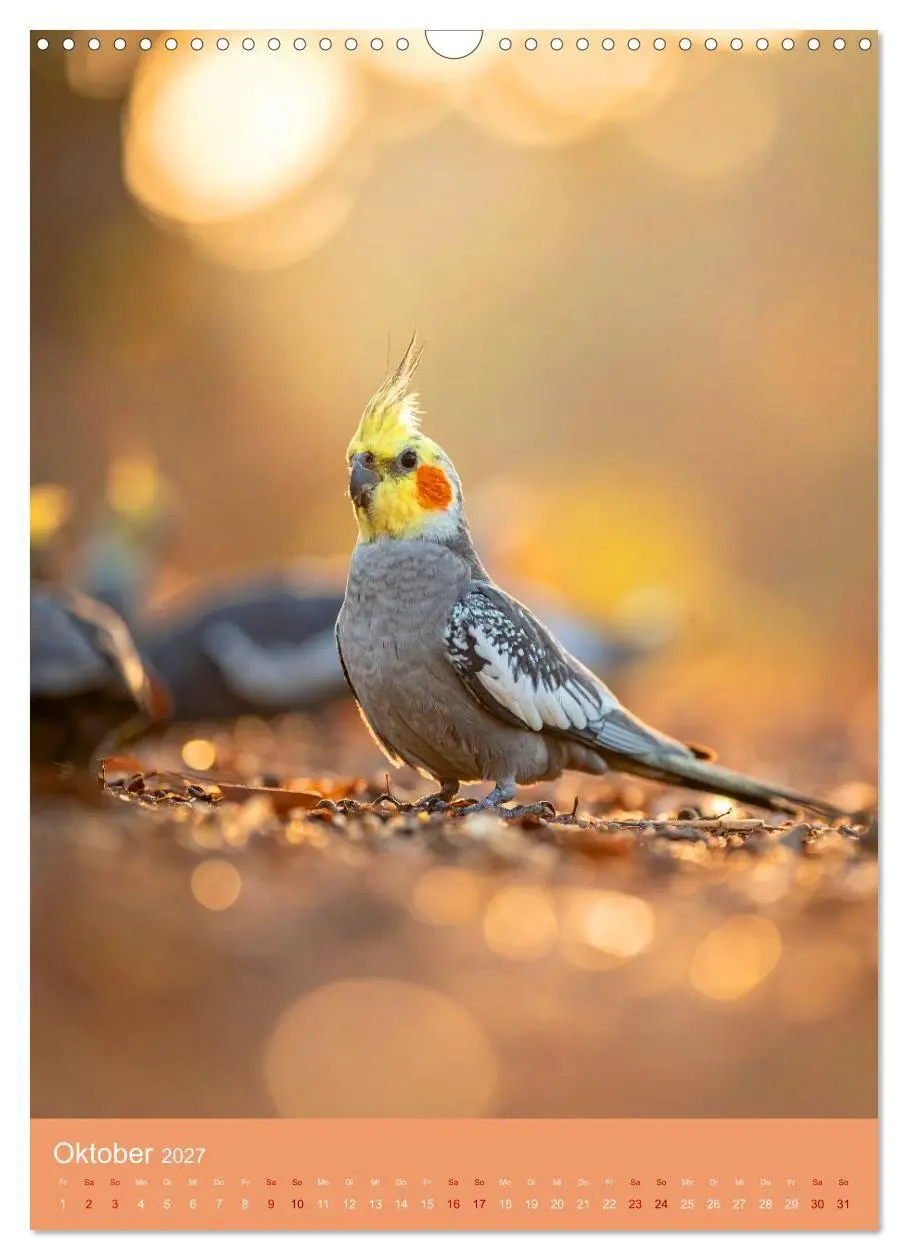 Bild: 9783516807875 | Zauberhafte Rotbäckchen (Wandkalender 2027 DIN A3 hoch), CALVENDO...